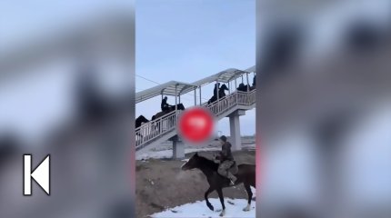 Экстрим-кокпар: всадники из Алматинской области проверили на прочность пешеходный мост