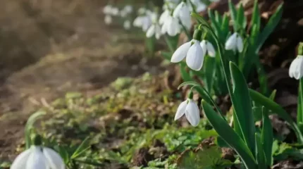 Алдағы күндері ауа райы қандай болады?