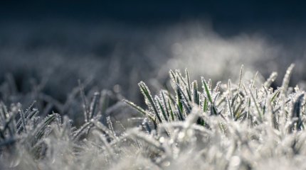 Почти 30-градусные морозы «ударят» по Казахстану в ближайшие дни