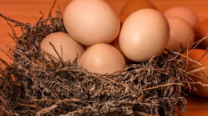 Приоритетная проблема: $1 млрд выделят в США на борьбу с дефицитом яиц