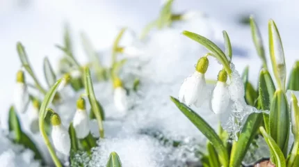 Көктемнің алғашқы күндері ауа райы қандай болады?