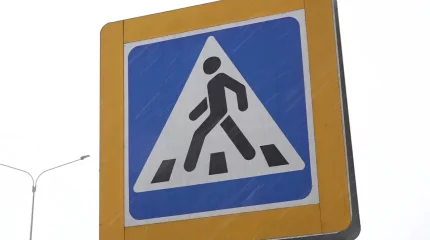 СҚО-да көлік жүргізушісі жаяу жүргіншіні қағып өлтірді