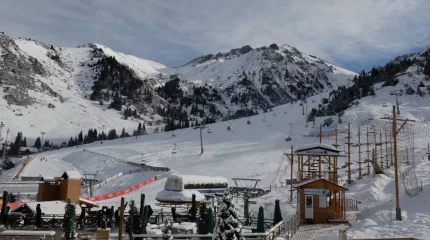 Шымбұлаққа демалуға келген шетелдік туристер төбелес шығарды