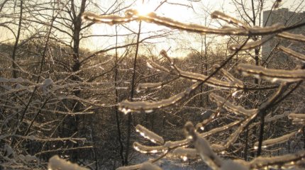 Астанчан предупредили о сильном тумане и гололёде во вторник, 4 февраля