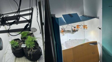 Сразу три нарколаборатории за сутки ликвидировали в Казахстане