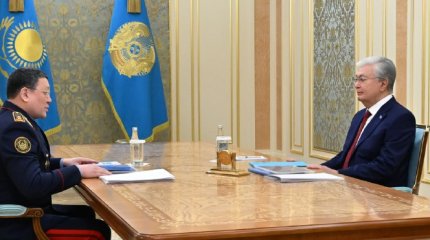 Глава государства принял министра внутренних дел Ержана Саденова