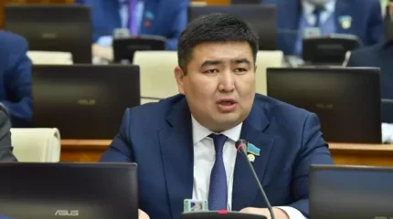 Цифры занижены: депутат заявил о высоком уровне безработицы в Казахстане