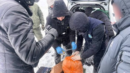 Крупный канал поставки наркотиков перекрыт в области Абай