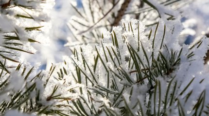 Қатты аяз: Бірнеше өңірде күн райына байланысты ескерту жарияланды