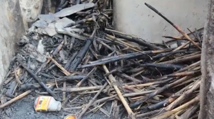 17 бала тірідей жанып кетті