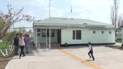 Жамбылда мектеп жұмысшысы ағаш кесемін деп ашал құшты