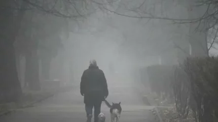 В Шымкенте +13, в Астане -21: погода в мегаполисах на субботу, 8 февраля