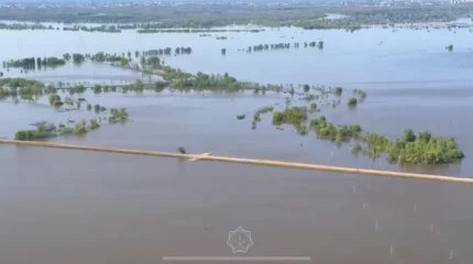 Ақтөбе облысында бөгет жарылғаны үшін 75 жастағы компания директоры сотталды