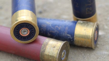 Силовики в Индии убили более 30 маоистских повстанцев в штате Чхаттисгарх