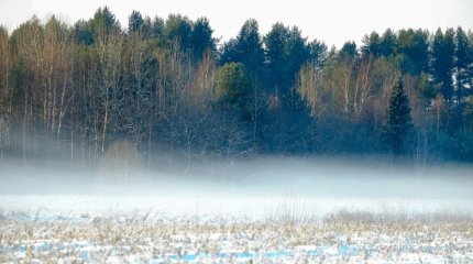 Туманный понедельник грядёт у жителей казахстанских мегаполисов 10 февраля