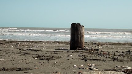 Геолог из Актау: уровень Каспийского моря начнет подниматься через 25 лет