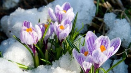 +20 градус: алдағы күндерге ауа райы болжамы