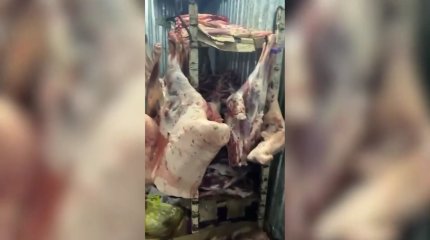 Астанада адам шошырлық жағдайда ет сақтаған 2 күдікті ұсталды