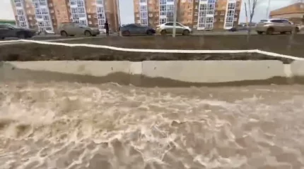 Оралда көктемгі тасқын: ТЖМ мәлімдеме жасады