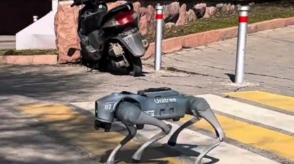 Инновационный робот-собака гуляет по Алматы
