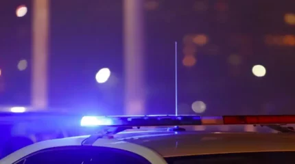 Жамбыл облысында көлік ұрлап полициядан қашқан ер адам жол апатына ұшырады