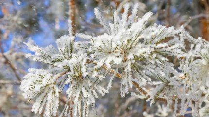Бірнеше өңірде дауылды ескерту жарияланды