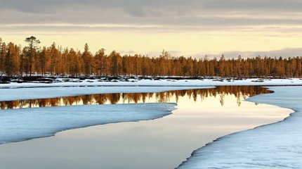Батыс Қазақстан облысында еріген қар суын бұру жалғасып жатыр