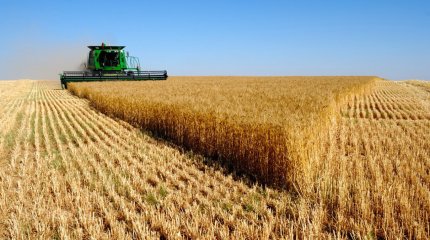 Алты жыл ішінде агроөнеркәсіп кешенін субсидиялауға 2,5 триллион теңге бөлінді