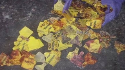 ІІМ ет өңдеумен айналысқан заңсыз цехтарды анықтап жатыр