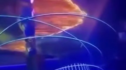 Трагедия в Северной Македонии: количество погибших увеличилось