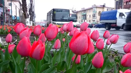 До 30 тепла в Шымкенте: погода в мегаполисах в среду, 19 марта