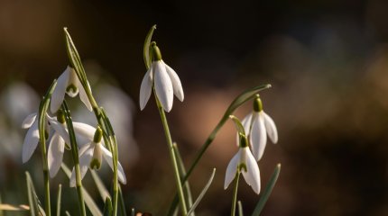 19 марта казахстанцы отмечают Жаңару күні