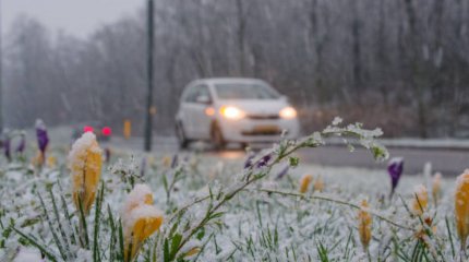 Наурыз мерекесі қарсаңында елімізде ауа райы қандай болады?