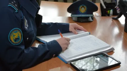 Жыл сайын 200-ден астам қыз бала жыныстық зорлыққа ұшырайды