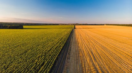Возвращено 12,1 млн. гектаров земли, из них  4,9 млн гектаров распределены среди населения.