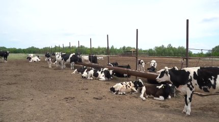 Оралдық шаруалар қарызын қайтара алмай жүр