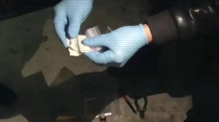 Қазақстанда иісшіл иттер небәрі екі айда 600 кг-дан астам есірткі тапты