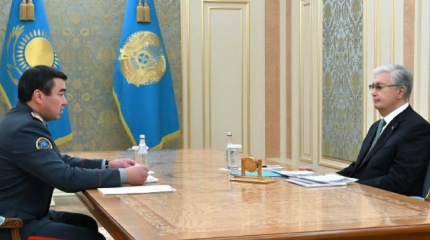 Министр по ЧС отчитался Токаеву о проводимой работе