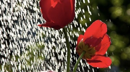 Ливни на западе и юге, метели на севере: погода на праздничные дни в Казахстане