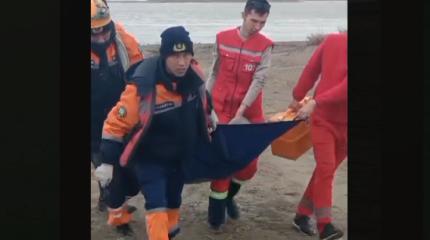 Вплавь добрался до острова и оказался в ловушке житель Кызылорды