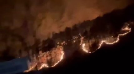 Лесные пожары в Южной Корее: есть погибшие, сотни эвакуированы