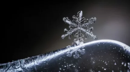 В Астане морозно, в Шымкенте и Алматы дожди: погода в мегаполисах во вторник, 25 марта