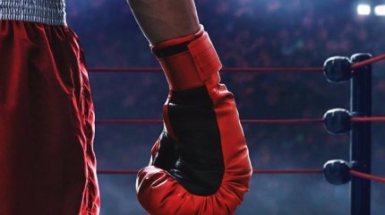 Бокстан Бразилияда өтетін әлем кубогына Қазақстаннан кімдер қатысады?