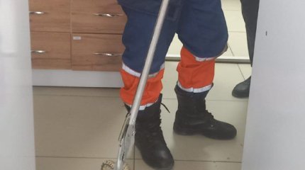 Змея напугала работников торгового дома в Таразе
