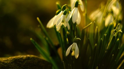 От -12° до +11° прогнозируют синоптики в мегаполисах Казахстана 26 марта