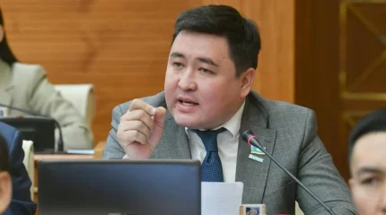 "Қанша жанталассақ та жансақтау бөлімінде бәрінің жанын сақтай алмайтынымыз өкінішті", - депутат