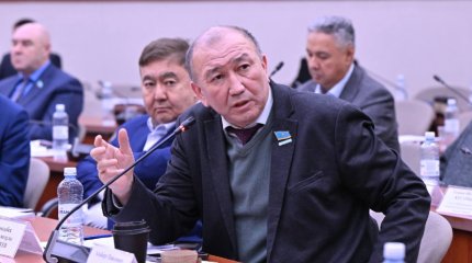 Депутат раскритиковал деятельность Высшей аудиторской палаты