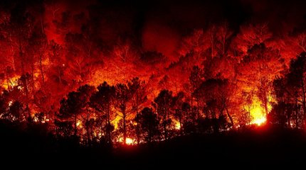 Лесные пожары в Южной Корее: погибло больше 20 человек