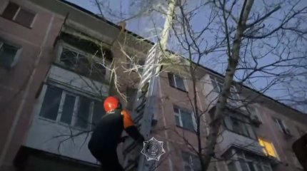 Кошку с высоты пятиэтажного дома пришлось снимать столичным спасателям