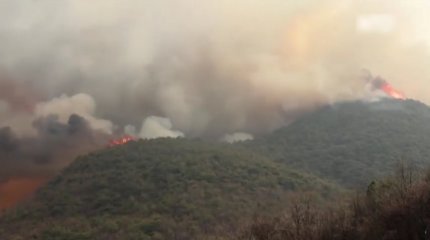 "Самые страшные в истории": пожары в Южной Корее унесли жизни более 20 человек